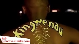 Kingwendu  Mapepe  Official Video [upl. by Alimak]