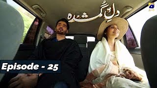 DileGumshuda  EP 25  1st Nov 2019  HAR PAL GEO DRAMAS [upl. by Latoyia]