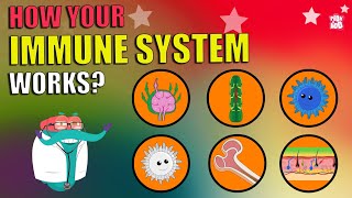 How Does Your Immune System Works What Is Immune System  The Dr Binocs Show  Peekaboo Kidz [upl. by Enened]