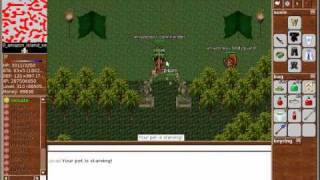 Stendhal Game How to deal with amazoness archers and hungry pets [upl. by Liane656]