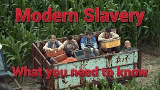 Modern slavery – what you need to know [upl. by Huston313]