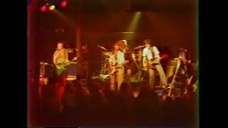 The Rubinoos  quotI Wanna Be Your Boyfriendquot  Live at Keystone Berkeley 1982 [upl. by Ardnac554]