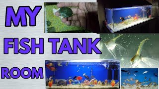 MY FISH TANK ROOM IN INDIA [upl. by Atalie]