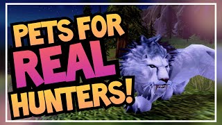 RAREST Obtainable Hunter Pets  Unique Pet Guide Ep 2  World of Warcraft BFA amp Shadowlands [upl. by Ardnuat]