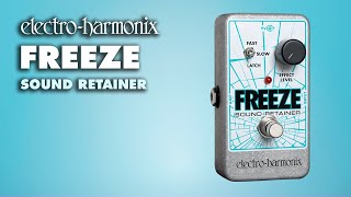 ElectroHarmonix Freeze Sound Retainer EHX Pedal Demo [upl. by Oihsoy]