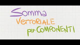 Somma vettoriale per componenti [upl. by Llecrep]