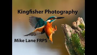 Kingfisher photography [upl. by Adiazteb573]