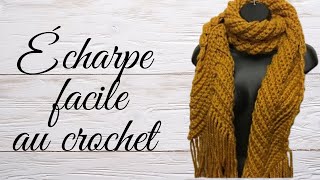 Comment faire une écharpe facile et rapide au crochet  tuto en pas à pas [upl. by Dinsdale]