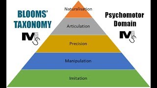 Blooms Taxonomy Psychomotor Domain  Simplest Explanation Ever [upl. by Jori574]