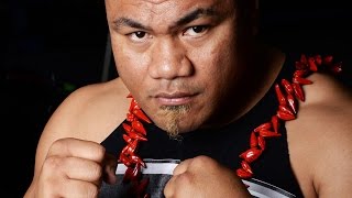 DAVID TUA  HighlightsKnockouts [upl. by Anirdnaxela]