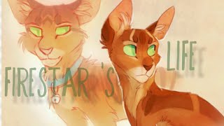 Firestar s Life  Warriors  In the name of love [upl. by Baxter]