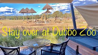 Dubbo Zoo Overnight Stay 4K [upl. by Briggs956]