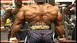 Flex Wheeler  Entrenando Full Body training [upl. by Amadas]