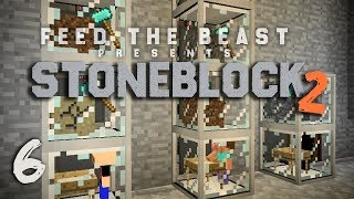 StoneBlock 2 Modpack Ep 6 Automatic Sieve Setup  Item Sorting [upl. by Okier160]