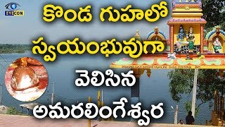 కొండ గుహలో స్వయంభువుగా వెలిసిన అమరలింగేశ్వర Daida Amaralingeshwara Swamy known Facts  Eyecon Facts [upl. by Jakoba]