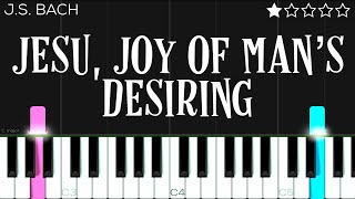 JS Bach  Jesu Joy Of Man’s Desiring  EASY Piano Tutorial [upl. by Eleanore789]