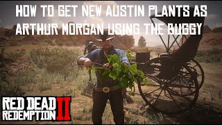 How to get the New Austin Plants and complete Herbalist 9 as Arthur in Chapter 2  RDR2 [upl. by Enyledam78]