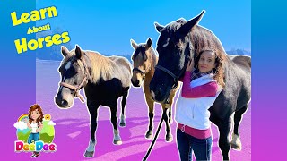 Learn About Horses  Animals for Kids  Educational Videos [upl. by Ailev]