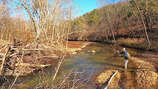 Fly Fishing 9 WILD TROUT STREAMS youve never heard ofMissouri Trout Slam 7streams in 4 days Pt1 [upl. by Nikoletta720]