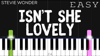 Stevie Wonder  Isnt She Lovely  EASY Piano Tutorial [upl. by Girovard]