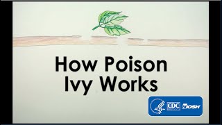 How Poison Ivy Works [upl. by Petta752]