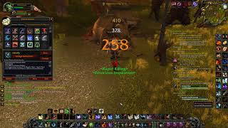 Hunter OneButton Macro Explained World of Warcraft The Burning Crusade Classic [upl. by Anele]