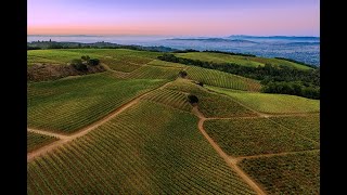 Sonoma County Wine Overview [upl. by Enitsirc858]