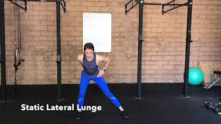 Static Lateral Lunge [upl. by Oalsecnew349]