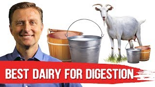 Best Dairy To Avoid Digestive Stress Lactose Intolerance – DrBerg [upl. by Bertie60]