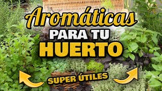 5 Plantas AROMÁTICAS ESENCIALES en Casa y HUERTO 🌸 MEJORA tu COSECHA  Solución NATURAL para PLAGAS [upl. by Wenonah681]