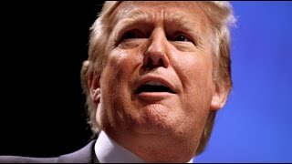 Top 10 Crazy Donald Trump Moments [upl. by Koren]