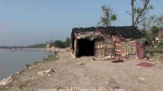 Life of an aghori in Haridwar [upl. by Aihselat]