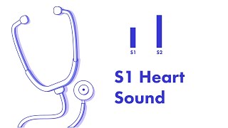 S1 Heart Sound  Learn How to Auscultate Part 8 [upl. by Enomar]