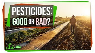 How Safe Are Pesticides Really [upl. by Geraud762]