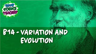 AQA GCSE 91  B14 VARIATION AND EVOLUTION [upl. by Norreg]