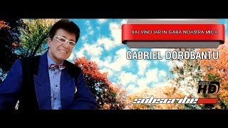 Gabriel Dorobantu  Hai vino iar in gara noastra mica [upl. by Rowland]