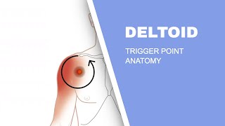 Shoulder Pain  Deltoid Muscle Trigger Points Explained [upl. by Panthea]