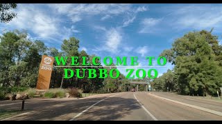 DUBBO ZOO [upl. by Nash602]