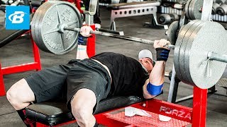 How To Bench Press Layne Nortons Complete Guide [upl. by Atiz]