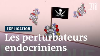 Comment fonctionnent les perturbateurs endocriniens [upl. by Oterol560]