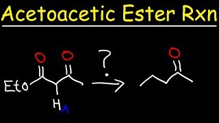 Acetoacetic Ester Synthesis Reaction Mechanism [upl. by Fredkin]