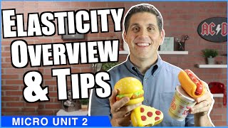 Elasticity Overview and Tips Micro Topics 23 24 and 25 [upl. by Hanikahs354]