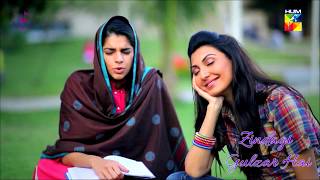 Zindagi Gulzar Hai Title Song OST  Ali Zafar  Hum TV Drama [upl. by Beryl]