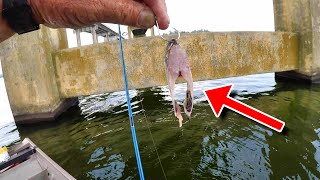 SIMPLE Way To Catch TONS Of Catfish [upl. by Sekyere]