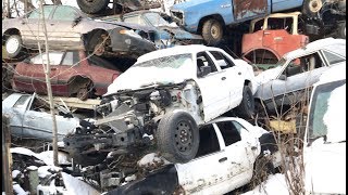 Visiting A Scrapyard Police Cars Military Trucks and More [upl. by Nortad788]