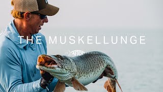 The Muskellunge [upl. by Aerdnwahs]