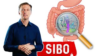 Small Intestinal Bacterial OvergrowthSIBO Steals Your Nutrients – DrBerg [upl. by Eekaz]