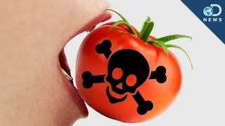 5 Poisonous Foods You Love [upl. by Ajroj76]