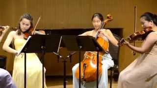 Brahms  Hungarian Dance No5 [upl. by Vaientina507]