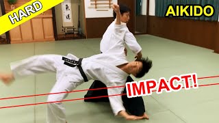 Impact Hard Aikido techniques [upl. by Sholley]